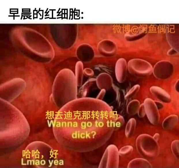 真实生物