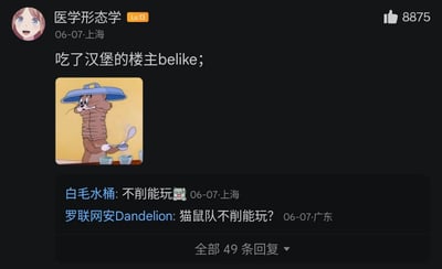 这是一张网络论坛的评论区截图，发布者账号昵称为“医学形态学”，等级为Lv13，发布定位为上海，发布时间为6月7日。发布内容配文为“吃了汉堡的楼主belike；”，并搭配了一张《猫和老鼠》的经典表情包：汤姆猫被压得身体布满褶皱，头顶着一个蓝色的锅盖，手持勺子和小碗，表情呆滞地站在桌旁。该条内容收获了8875个点赞，下方可见两条高赞回复，分别是用户“白毛水桶”发布的“不削能玩”，以及用户“罗联网安Dandelion”发布的“猫鼠队不削能玩？”，页面底部显示该条内容共有49条回复。
