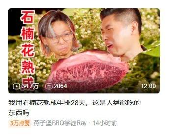 这是一张社交媒体短视频平台的截图梗图，属于P图合成的整活内容。图中拼接了两张带有夸张表情的真人脸，中间放置一块生牛排，左侧竖排文字写着「石楠花熟成中」，下方配文为「我用石楠花熟成牛排28天，这是人类能吃的东西吗」。石楠花本身带有特殊的刺鼻气味，用它来熟成牛排是非常离谱的黑暗料理设定，结合人物嫌弃、惊讶的夸张表情，制造出荒诞搞笑的效果，吐槽这种料理的离谱程度。图中无谐音双关或暗示内容，单纯以离谱的美食整活为笑点。