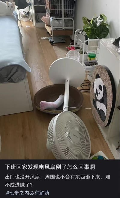 下班回家后，用户发现家里的落地电风扇倒在地板上，出门时并未开启风扇，周围也没有会砸落的物品，于是疑惑是不是进贼了。但从图片中可以看到床沿的白色猫咪和一旁的猫窝，显然是调皮的猫咪弄倒了风扇，属于铲屎官日常遇到的猫咪搞破坏的趣味场景，用疑惑的语气制造反差感，实际答案就在画面里。