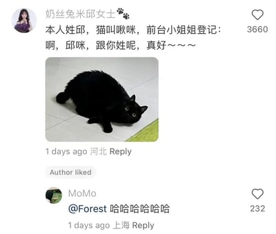 本图是一条带配图的评论区截图，内容是一位网友介绍自己姓邱，养的黑猫名叫“喵咪”，并调侃前台小姐姐登记时会说“啊，邱咪，跟你姓呢，真好~~~”。配图是一只警觉、圆睁双眼的黑猫趴在地上。评论区下方有互动，整体氛围轻松搞笑，笑点在“邱咪”与“丘比”的谐音梗。