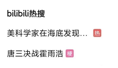 这张图片是哔哩哔哩（bilibili）平台的热搜板块截图，整体为白色背景搭配黑色文字的纯文字网页UI界面。页面顶部明确标注「bilibili热搜」，下方依次展示两条热搜内容：第一条是「美科学家在海底发现...」，右侧带有红色的「热」标识，表明这是热度较高的资讯类内容；第二条是「唐三决战霍雨浩」，右侧带有粉色的「梗」标识，这是源自二次元圈子的跨作品对决梗，唐三是《斗罗大陆》的主角，霍雨浩是《绝世唐门》的主角，二者均为唐家三少创作的玄幻小说角色，该内容属于粉丝创作引发的热门话题。