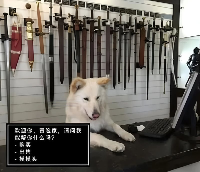 萨摩耶犬