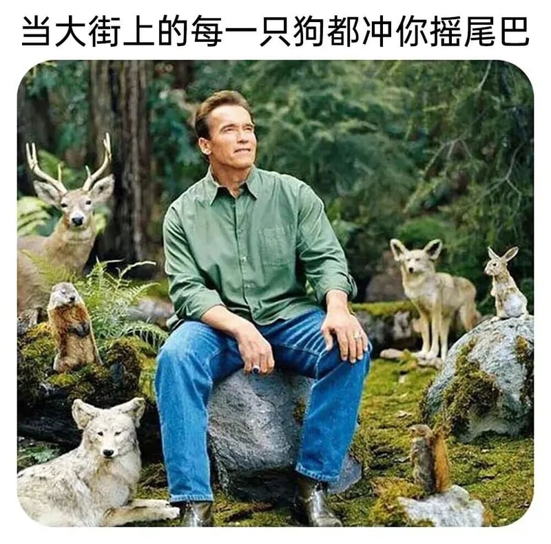阿诺德·施瓦辛格