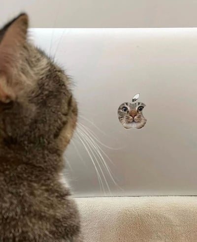 一只虎斑猫正专注地凝视着银色苹果笔记本电脑的背面，而笔记本上的苹果logo被创意性地替换成了一张猫脸图案。猫咪的侧脸轮廓与logo上的猫脸形成有趣呼应，仿佛在镜中看到自己，画面充满萌趣与巧合。