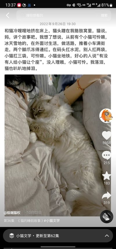 这是一张手机截取的小红书帖子截图，截图顶部显示手机状态栏信息，帖子标注时间为2022年9月26日19:30，上方配文是小猫文学内容：讲述博主和猫咪冷得挤在床上，猫咪蹭在博主胳肢窝里让博主讲故事，博主讲了一个小猫在外吃苦受累、孤苦可怜的故事，讲完之后博主落泪，猫咪也跟着掉泪。帖子下半部分是实拍图，一只浅米白色长毛猫正依偎在人的胳肢窝处，慵懒地躺在床上休息。截图右侧显示该帖子互动数据：点赞5958、评论215、收藏183、转发319，底部标注该内容是@极端猫权发布的第36集《猫的睡前故事》，带有#小猫文学话题，最底部导航栏显示“小猫文学·更新至第62集”。