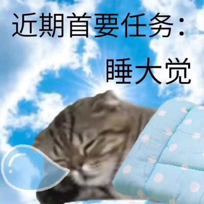 这张梗图中，一只模糊打哈欠或睡觉姿势的猫，被放在梦幻的蓝天白云背景之上，旁边是一床花点蓝色被子，还有一个Q版的哈欠气泡图案。大字写着“近期首要任务：睡大觉”。整体氛围慵懒治愈，极具搞笑感，表达了只想休息、放松或度假的心情。

没有明显谐音梗或双关，但“睡大觉”用法夸张放松，具有网络调侃意味。