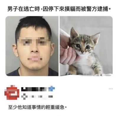 这是一张在社交平台流传的搞笑梗图，采用左右分栏的图文混排形式：左侧是一名面部部分打码的男性被捕证件照，右侧是一只被人轻捏脸颊的可爱三色小猫。图上方配文说明“男子在逃亡时，因停下来摸猫而被警方逮捕”，下方的评论则调侃“至少他知道事情的轻重缓急”，通过将逃犯摸猫被捕的荒诞事件和网友的趣味解读结合，制造出强烈的反差感，精准戳中网友对猫咪毫无抵抗力的“猫奴”心态，引发搞笑的情绪共鸣。