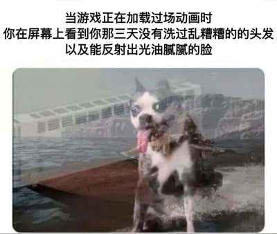 图片上方为文字描述，内容是“当游戏正在加载过场动画时 你在屏幕上看到你那三天没有洗过乱糟糟的的头发以及能反射出光油腻腻的脸”，下方是一张惊讶表情的狗的图片，狗张嘴吐舌，背景模糊疑似游戏加载场景。通过狗的夸张惊讶表情，幽默地表现出玩家在游戏加载时从屏幕反光中看到自己不修边幅形象时的尴尬与震惊。