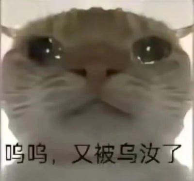 一张猫咪的特写照片，猫咪双眼圆睁且水润，眼神中透露出明显的委屈感，面部表情略带撅嘴，显得十分可怜。图片底部有一行黑色文字：'呜呜，又被乌汶了'，整体营造出一种猫咪受委屈后向人倾诉的可爱又搞笑的氛围。