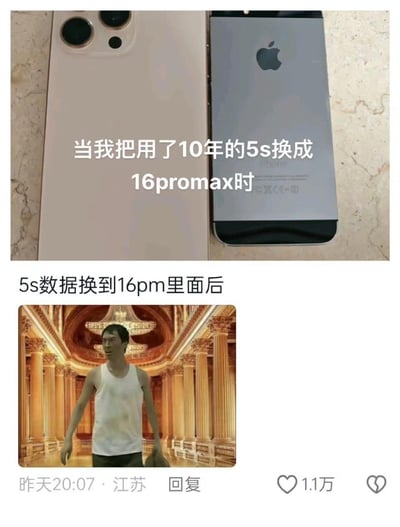 图片上半部分展示了两部iPhone手机并排放置，左侧为金色的iPhone 16 Pro Max，右侧为银色的iPhone 5s，中间文字写着“当我把用了10年的5s换成16promax时”。下半部分是一张游戏截图，来自《上古卷轴5：天际》的主角“龙裔”穿着白色背心站在华丽的宫殿大厅中，配文“5s数据换到16pm里面后”，通过夸张的场景对比，幽默地表现了从旧手机换到新手机并迁移数据后的震撼体验。