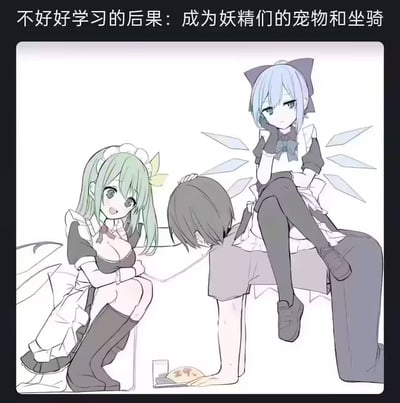 这是一张二次元玩梗的劝学梗图，图上方配有文字“不好好学习的后果：成为妖精们的宠物和坐骑”。画面中，《东方Project》里的大妖精和琪露诺被改成了女仆装造型，绿发的大妖精开心地摸着一个男性角色的头，蓝发的琪露诺则慵懒地坐在男性角色的背上，男性角色的手边还有类似宠物食盆的物品，用夸张戏谑的场景来调侃不好好学习的“悲惨”下场，整体风格搞笑戏谑，没有双关或谐音梗。