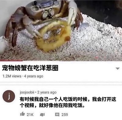 图片上半部分为特写镜头，一只宠物螃蟹正用螯足抱着一个黄色的洋葱圈，在铺有白色细沙的容器中专注进食，螃蟹的眼睛和腿部细节清晰可见。下半部分是视频界面元素，包含标题“宠物螃蟹在吃洋葱圈”、观看量“1.2M views”、发布时间“4 years ago”，以及一条获赞21K的热门评论：“有时候我自己一个人吃饭的时候，我会打开这个视频，就好像他在陪我吃饭。”整体画面传递出温馨治愈的氛围，展现了小动物进食的可爱瞬间与网友的情感共鸣。