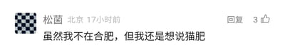这是一张社交媒体评论的截图，发布者昵称是松菌，定位显示为北京，发布时间为17小时前，评论内容为“虽然我不在合肥，但我还是想说猫肥”，其中“猫肥”是地名“合肥”的谐音，玩了一个趣味谐音梗。该评论右侧显示有回复入口，以及3个点赞数。