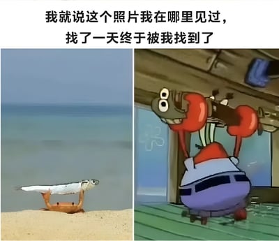 这是一张左右对比图，左侧是现实中的一只螃蟹在海滩上用双螯举起一条鱼，右侧是动画《海绵宝宝》中的角色蟹老板用双螯举起钱袋的经典姿势。两张图片中的主体都呈现出相似的姿态，上方配有文字'我就说这个照片我在哪里见过，找了一天终于被我找到了'，通过现实场景与动画角色的姿势相似性制造幽默效果。