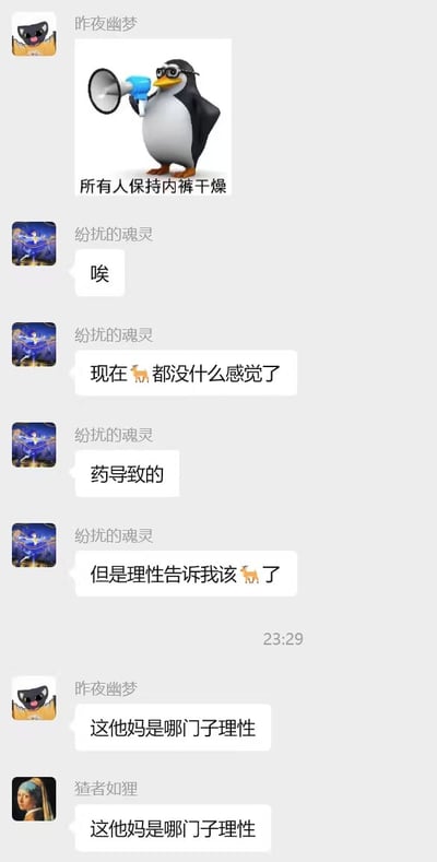 这是一张聊天记录截图，展示了三个人的对话内容。用户"昨夜幽梦"发送了一张企鹅拿着喇叭的表情包，上面写着"所有人保持内裤干燥"。随后"纷扰的魂灵"回复了多条消息，提到自己因为药物没什么感觉了，但理性告诉自己该"鹿了"（可能是谐音或网络用语）。最后"昨夜幽梦"和"猹者如理"都质疑"这他妈是哪门子理性"。整个对话充满了幽默和困惑的氛围。