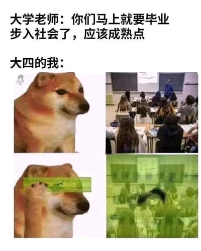 这是一组多图拼接的图文内容，上方文字为大学老师对学生的叮嘱：“你们马上就要毕业步入社会了，应该成熟点”。画面分为左右两栏，左栏是两张Cheems柴犬表情包：第一张柴犬端坐，眼神无奈地看向右侧的正常大学课堂画面；第二张柴犬用爪子捂住眼睛，对应的右侧教室画面变成了绿色模糊的失真效果。整体通过前后画面的对比，具象化地表现了大四学生听到要步入社会、变得成熟的要求时，内心抗拒、想要逃避现实的心态，用视觉上的“屏蔽”效果来表达对即将到来的社会生活的焦虑与恐惧，精准戳中毕业季学生的真实情绪，充满反差感与共鸣感。