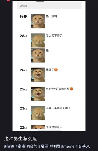 这张梗图用微信聊天界面调侃男生只会聊天气，用“哈基米猫”不同表情图片配合文案，呈现男生群聊里关于天气的重复对话（下雨、热、凉快）。风格幽默，把“男生只会聊天气”的刻板印象表现得淋漓尽致，是女生日常调侃男生成群体的常用哏。