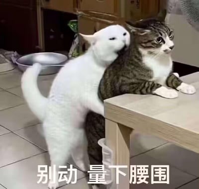 图片中一只白猫正从背后抱住趴在桌上的狸花猫，白猫头部靠在狸花猫颈部，前爪环绕其身体，仿佛在进行“测量腰围”的拟人化动作。狸花猫侧头望向一旁，表情平静中带着一丝疑惑。底部文字“别动 量下腰围”强化了这一幽默场景，将猫咪自然互动转化为搞笑的人类行为模仿，背景可见厨房橱柜和金属盆，展现家庭环境中的真实宠物日常。