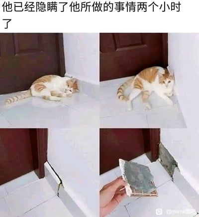 四格拼接图展示一只橘白猫咪的“心虚全过程”：第一格猫咪悠闲躺卧在门边角落，眼神放松；第二格突然坐起，耳朵竖起警惕张望，尾巴紧绷；第三格特写墙角墙皮明显破损；第四格一只手拿着破碎的墙皮碎片，揭示“案发现场”。上方文字“他已经隐瞒了他所做的事情两个小时了”将猫咪拟人化，暗示它正是破坏墙皮的“元凶”，通过表情和动作变化生动演绎了“做坏事心虚却试图掩饰”的场景，幽默还原了宠物犯错后的经典反应，引发养宠人群共鸣。