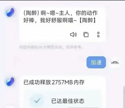 这是一张手机清理类软件的界面截图，界面上方的AI交互模块以拟人化猫娘的陶醉语气输出带有擦边暗示的反馈内容：“（陶醉）啊~嗯~主人，你的动作好棒，我好舒服啊喵~【陶醉】”，下方设有“加速”按钮，中间标注有“对话内容由AI大模型生成，仅供参考”的提示，用户点击加速后，界面反馈“已成功释放2757MB内存”、“已达最佳状态”的清理结果，擦边的拟人话术和正常的内存清理功能形成强烈反差，具备搞笑玩梗的效果。