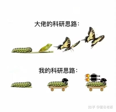 图片通过上下对比展示了两种科研思路的差异。上半部分“大佬的科研思路”展示了毛毛虫→蛹→蝴蝶的自然蜕变过程，象征循序渐进、遵循规律的科学研究方法；下半部分“我的科研思路”则展示了毛毛虫直接加装滑板、最终装上火箭推进器的荒诞场景，幽默地表达了急功近利、试图走捷径的科研心态。