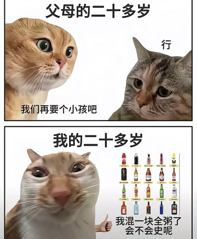 这是一张上下对比的双格梗图，通过猫咪表情包幽默对比了父母辈和当代年轻人的二十多岁生活状态。上半部分标题为“父母的二十多岁”，左侧橘猫说“我们再要个小孩吧”，右侧灰猫简洁回应“行”，体现了父母辈二十多岁时的家庭观念。下半部分标题为“我的二十多岁”，左侧橘猫表情迷茫并竖起大拇指，右侧展示多种酒瓶排列，配文“我混一块全粥了会不会史呢”（“史”谐音“死”，是网络用语中故意写错的幽默表达），反映了当代部分年轻人二十多岁的生活方式和心态。