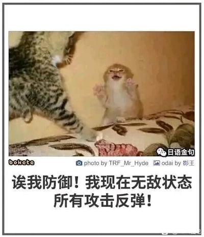 这是一张文字加注类的搞笑梗图，画面为真实拍摄的动物场景：左侧一只虎斑猫伸出前爪，做出要攻击的姿态；右侧一只浅黄毛发的小动物（疑似小猴子）皱着眉头、张开嘴巴，两只前爪举在身前，摆出防御的姿势。图下方配有拟人化的中文配文“诶我防御！我现在无敌状态 所有攻击反弹！”，将小动物的姿态与游戏中常见的“防御反弹、无敌状态”设定结合，用拟人化的方式制造出诙谐幽默的效果，让原本普通的动物互动场景变得充满趣味。