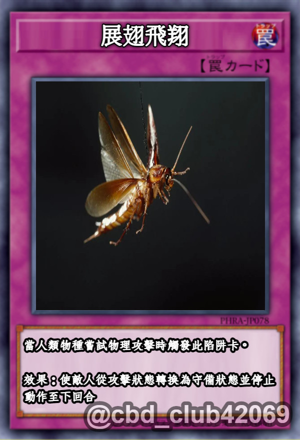 小强
