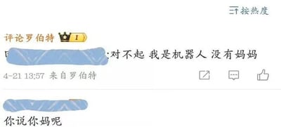 这是一张社交媒体评论区的截图，下方有用户评论“你说你妈呢”，试图用不礼貌的脏话进行攻击；而名为“评论罗伯特”的账号（带有皇冠标识，等级为I）回复“对不起 我是机器人 没有妈妈”，巧妙地利用“机器人没有亲属”的设定化解了脏话攻击，形成了搞笑又解气的反差效果，没有双关、谐音梗或暗示内容。