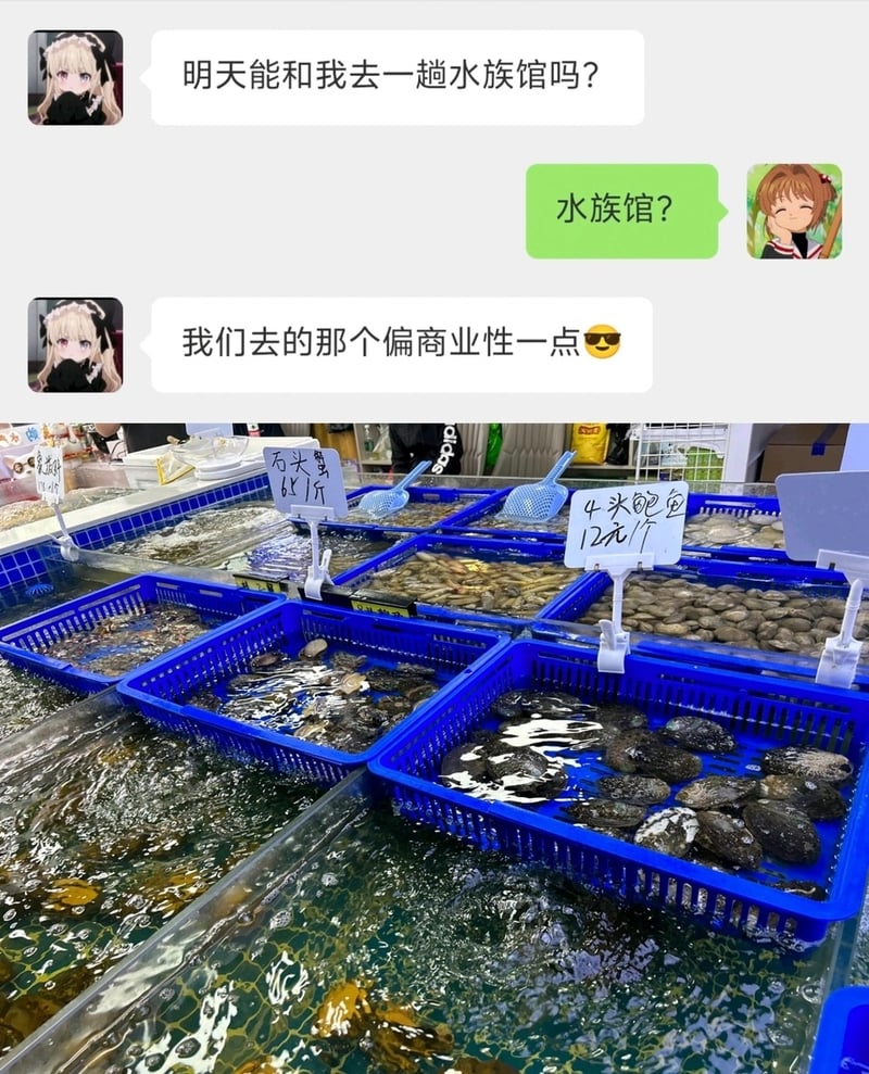 未知银发二次元少女