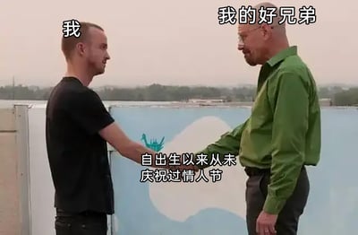 这是一张基于美剧经典画面二次创作的单身主题梗图。画面左侧人物被标注为“我”，右侧人物被标注为“我的好兄弟”，两人正面对面握手对视，下方配有文字“自出生以来从未庆祝过情人节”。图中借用两个角色握手的默契场景，生动调侃了自己和兄弟同为单身、从未拥有过情人节庆祝经历的状态，精准戳中单身人群在情人节节点的情感共鸣，用经典影视画面为单身话题赋予了幽默的表达形式。