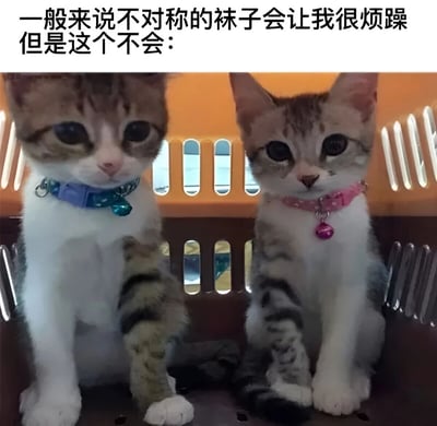 图片上方有文字“一般来说不对称的袜子会让我很烦躁但是这个不会：”，下方是两只戴着不同颜色项圈的小猫并排坐在宠物笼中的照片。左边小猫戴着蓝色项圈，右边小猫戴着粉色项圈，两只小猫都有着大大的眼睛，表情呆萌可爱。图片通过将“不对称的袜子”与“不对称的项圈”进行类比，制造出幽默效果，表达了对可爱猫咪的喜爱可以超越对不对称的烦躁感。