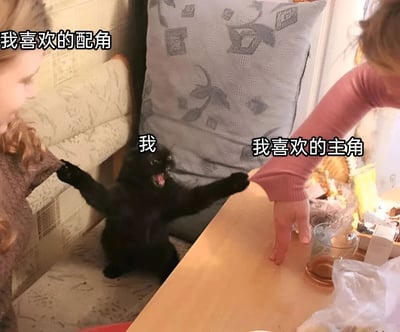 图片中一只黑猫坐在沙发上，张开双臂，表情夸张地张嘴露齿。黑猫左侧有一位穿棕色衣服的人伸手过来，上方文字标注“我喜欢的配角”；黑猫右侧有一位穿粉色衣服的人伸手过来，上方文字标注“我喜欢的主角”；黑猫正上方标注“我”。整个场景幽默地表现了当喜欢的配角和主角同时示好时的纠结心情。