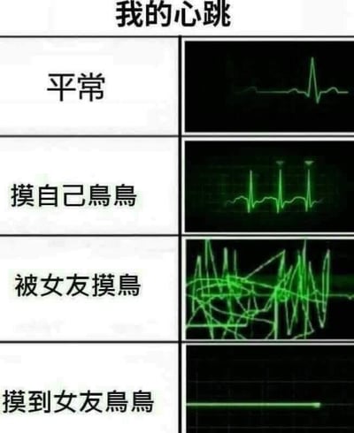 这是一张四格对比图，标题为"我的心跳"。图片分为四行两列，左侧为文字描述，右侧为对应的心跳监测图。第一行："平常"对应正常平稳的心跳；第二行："摸自己鳥鳥"对应略微加快的心跳；第三行："被女友摸鳥"对应剧烈波动的心跳；第四行："摸到女友鳥鳥"对应一条直线（心跳停止）。通过夸张的心跳变化制造幽默效果，最后一格存在性别认知的反转笑点。