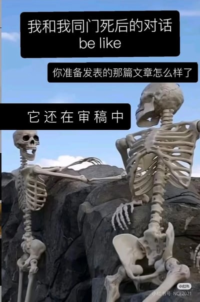 这是一张针对科研圈日常的搞笑吐槽图文，采用P图改编的方式，以两个骷髅的场景模拟科研同门死后的对话。顶部文字“我和我同门死后的对话be like”点明创作主题，随后的对话里，一个骷髅询问对方待发表文章的进度，另一个骷髅回应“它还在审稿中”，用极度夸张的手法吐槽学术论文审稿周期过长的问题，将科研工作者等待论文审稿结果的无奈与焦虑以幽默戏谑的方式呈现，精准戳中科研从业者的痛点。