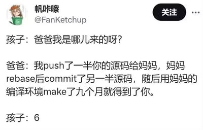 这是一则充满程序员行业梗的搞笑段子截图：孩子询问爸爸自己的出身，身为程序员的爸爸用Git版本控制的操作术语（push、rebase、commit）和编译术语（make）来类比生育过程，称自己push了一半“源码”给妈妈，妈妈rebase后commit另一半，再用自己的“编译环境”make九个月就得到了孩子，孩子最后回复“6”表示无语。
这个段子用程序员熟悉的行业黑话重构了经典的“我从哪儿来”的问答，精准戳中程序员的语境笑点，趣味十足。