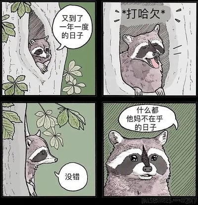 这是一幅四格连环卡通漫画，主角是一只浣熊。第一格中，浣熊躲在树洞里，开口说道“又到了一年一度的日子”，带着期待的神情；第二格中，浣熊在树洞内张嘴打哈欠，配文“*打哈欠*”，尽显慵懒；第三格中，浣熊从树洞内探出身，回应“没错”；第四格中，浣熊正面朝向画面，一脸无所谓地说出核心台词“什么都他妈不在乎的日子”。漫画通过浣熊拟人化的神态和对话，生动地表达了当代人渴望摆脱压力、进入完全放空、摆烂状态的心情，用可爱的动物形象传递出轻松解压的情绪，引发人们对松弛生活的共鸣。