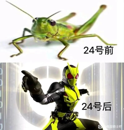 这是一张上下拼接的趣味对比梗图，上方展示了一只真实的绿色蝗虫，右侧配有文字“24号前”；下方是东映特摄剧《假面骑士Zero-One》中的假面骑士Zero-One跃升蝗虫形态，角色摆出战斗姿势，右手食指前指，身体前倾，右侧配有文字“24号后”。图中以“进化”的趣味视角，结合假面骑士Zero-One的蝗虫原型设定，制造出普通蝗虫到假面骑士的反差感，是假面骑士爱好者创作的玩梗图。