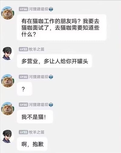 这是一张网络社群的聊天记录截图，用户“河狸建堤坝”询问其他网友，自己即将去猫咖面试，想要了解在猫咖工作的相关注意事项，另一位用户“牧羊之笛”误以为他是要去猫咖当猫“营业”，开玩笑回复让他多营业、多找人帮忙开罐头，“河狸建堤坝”先是发问号表示疑惑，随后解释自己不是猫，“牧羊之笛”随即道歉，对话利用大众对猫咖里宠物猫需要讨好顾客换罐头的普遍认知制造信息差误会，笑点轻松诙谐。