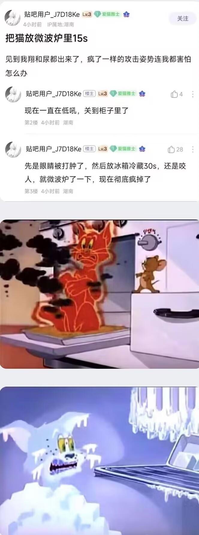 汤姆