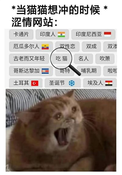 这张梗图分为上下两部分。上半部分模拟了一个涩情网站的分类标签界面，包含各种国家、人群和主题标签，其中“吃猫”标签被放大镜特别标出。下半部分是一只表情震惊、嘴巴大张的橘猫照片。图片通过拟人化手法，幽默地表现了当猫咪看到网站上有“吃猫”这种对自己有威胁的标签时的惊讶反应，形成一种反差萌的搞笑效果。