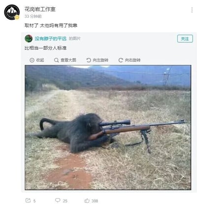 这是一张社交媒体动态截图，截图顶部是用户“花岗岩工作室”发布的内容，配文为“取材了 太他妈有用了我靠”，表达出对该素材的认可，认为其适合用于创作；下方是转发的用户“没有脖子的平远”的图片，配文“比相当一部分人标准”，图片主体是一只猴子趴在野外的土黄色小路上，身体贴靠在一把带有瞄准镜的狙击枪上，做出专业的瞄准姿势。这张图通过猴子持枪瞄准的荒诞画面，调侃部分人的能力甚至不如这只猴子，带有搞笑和讽刺的意味，整体氛围轻松戏谑。