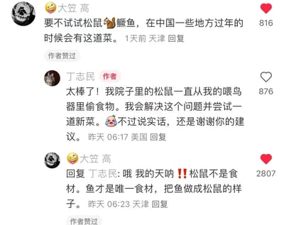 这张图片是一段中文社交媒体的评论区截图，展示了用户“大笠 高”与作者“丁志民”之间围绕中国传统名菜“松鼠鳜鱼”展开的搞笑互动。“大笠 高”首先向作者推荐这道中国部分地区过年会吃的菜品，作者因为院子里有偷食的松鼠，误以为这道菜是用松鼠作为食材，还表示会解决掉偷食的松鼠后尝试这道菜。随后“大笠 高”急忙回复解释，说明松鼠鳜鱼里的“松鼠”不是食材，而是将鱼做成松鼠的样子，鱼才是唯一的食材。这段因菜品名称引发的乌龙误解对话，三条评论分别获得了816、876、2807的点赞数，充满趣味性。