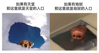 这是一张左右对比的趣味梗图，左侧画面是从雪洞下方仰视，一只温和的金毛犬从雪洞洞口探出头，上方配文“如果有天堂 那这里就是天堂的入口”，传递出治愈温暖的氛围；右侧画面是从马桶内部仰视，一只呆萌疑惑的猫咪从马桶洞口探出头，上方配文“如果有地狱 那这里就是地狱的入口”，通过两种截然不同的场景对比，用强烈的反差感制造搞笑效果，调侃不同场景给人的直观感受，无谐音梗或双关含义。