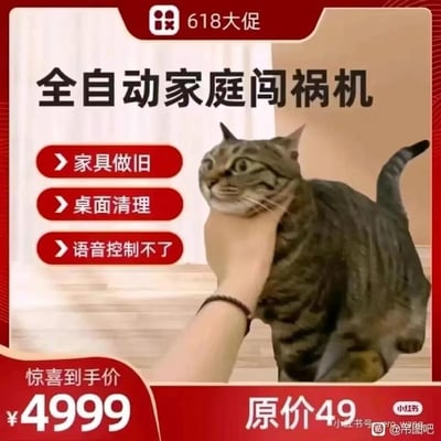 这是一张模仿618电商大促商品页的搞笑P图，将狸花猫包装成「全自动家庭闯祸机」，用精准吐槽养猫日常的“功能”来玩梗：「家具做旧」对应猫咪抓挠家具的拆家行为，「桌面清理」对应猫咪推掉桌面物品的习惯，「语音控制不了」则吐槽猫咪不听话、不受管教的特点。图中猫咪被手捏住脸，表情惊恐，价格设置反套路，标注“原价49”却给出“惊喜到手价4999”，反差感拉满，精准戳中养猫人的共鸣，整体风格戏谑搞笑。