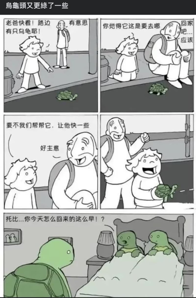 乌龟