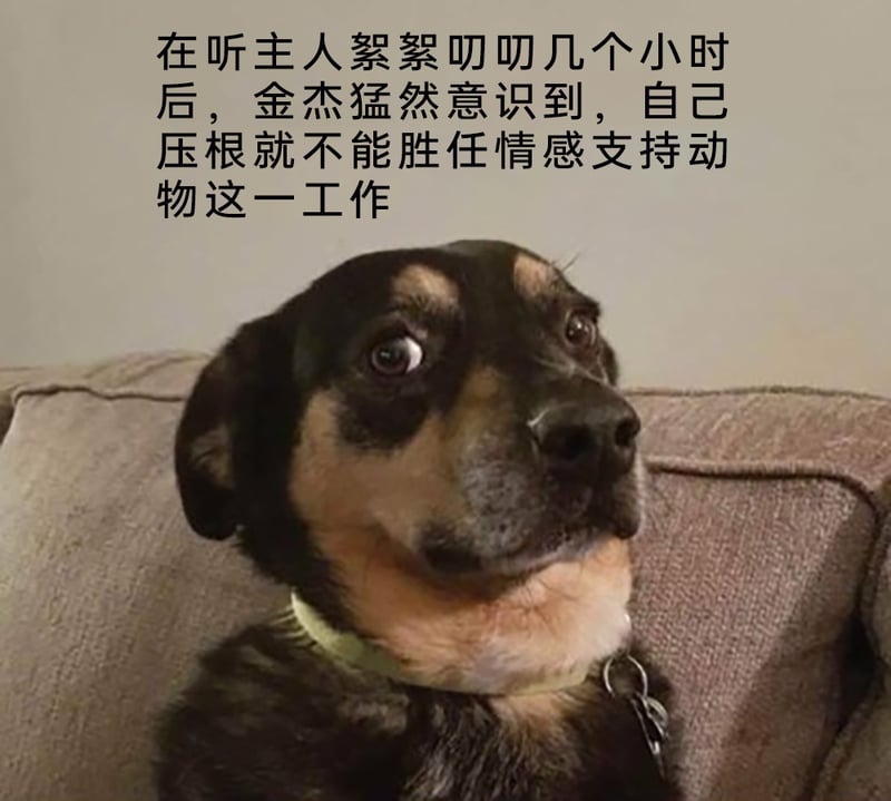 被期望成为情感支持动物