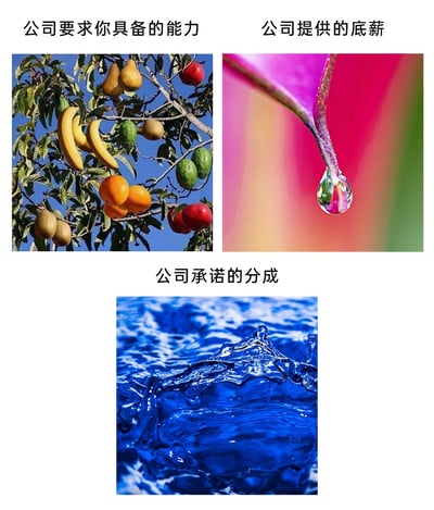这是一张由三张图片组成的多图拼接静态梗图，通过视觉隐喻的方式讽刺职场中公司与求职者之间待遇不对等的现象：左上角的图片是一棵被合成的、结满香蕉、苹果、梨、橙子、牛油果等多种不同水果的树，配文“公司要求你具备的能力”，寓意公司对求职者的要求极高，希望求职者是掌握多种技能的全能型人才；右上角的图片是一片彩色花瓣上悬挂的一滴极小的水珠，配文“公司提供的底薪”，直观表现出公司给出的底薪数额极少；下方的图片是蓝色水面上溅起的水花，配文“公司承诺的分成”，暗指公司所承诺的提成、分成如同易逝的水花一般，看似存在却难以被真正获取，属于画饼式的虚假承诺。整张图通过强烈的视觉对比，生动地表达了职场人面对不合理招聘条件的无奈与不满。
