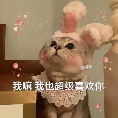 一只戴着白色兔子耳朵帽子和白色蕾丝领的灰色猫咪，正抬头向上看，脸颊有粉色腮红，眼神可爱。图片周围有粉色爱心和星星装饰，底部有文字'我嘛 我也超级喜欢你'，猫咪旁边还有'嘻嘻嘻'的笑声文字。整体风格温馨可爱，充满治愈感。